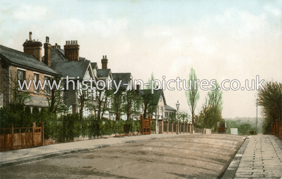 Castle Avenue, Highams Park, Chingford, London. c.1905.